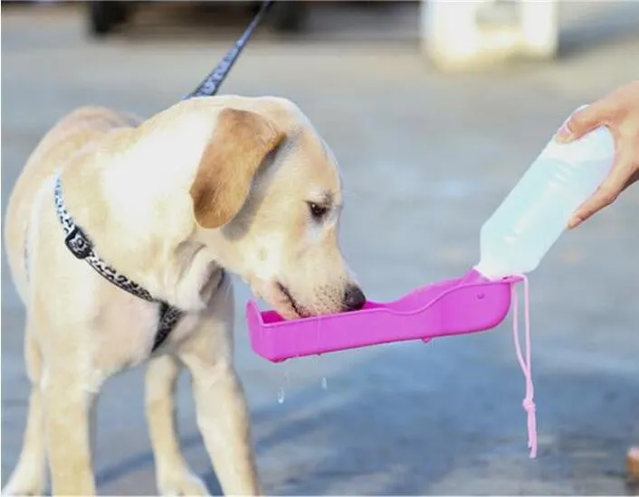 Pet Care portable Water bottle 250ML Outdoor Portable Pet Dog Water Bottles Fordable Tank Drinking Design Travelling Bowl Feeding