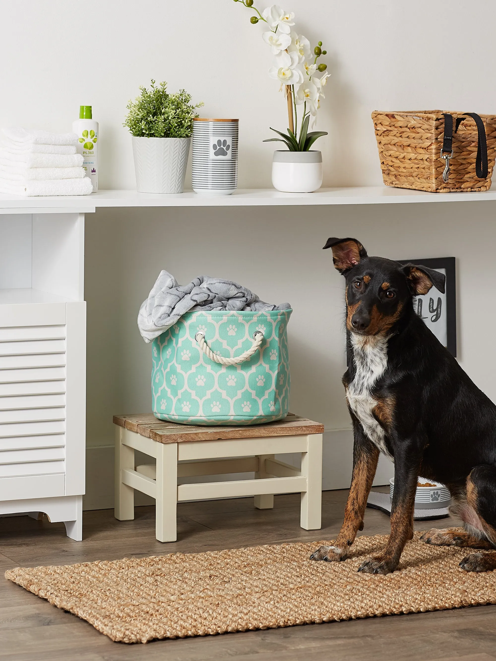 Polyester Pet Bin Lattice Paw Aqua Round Small 9X12X12