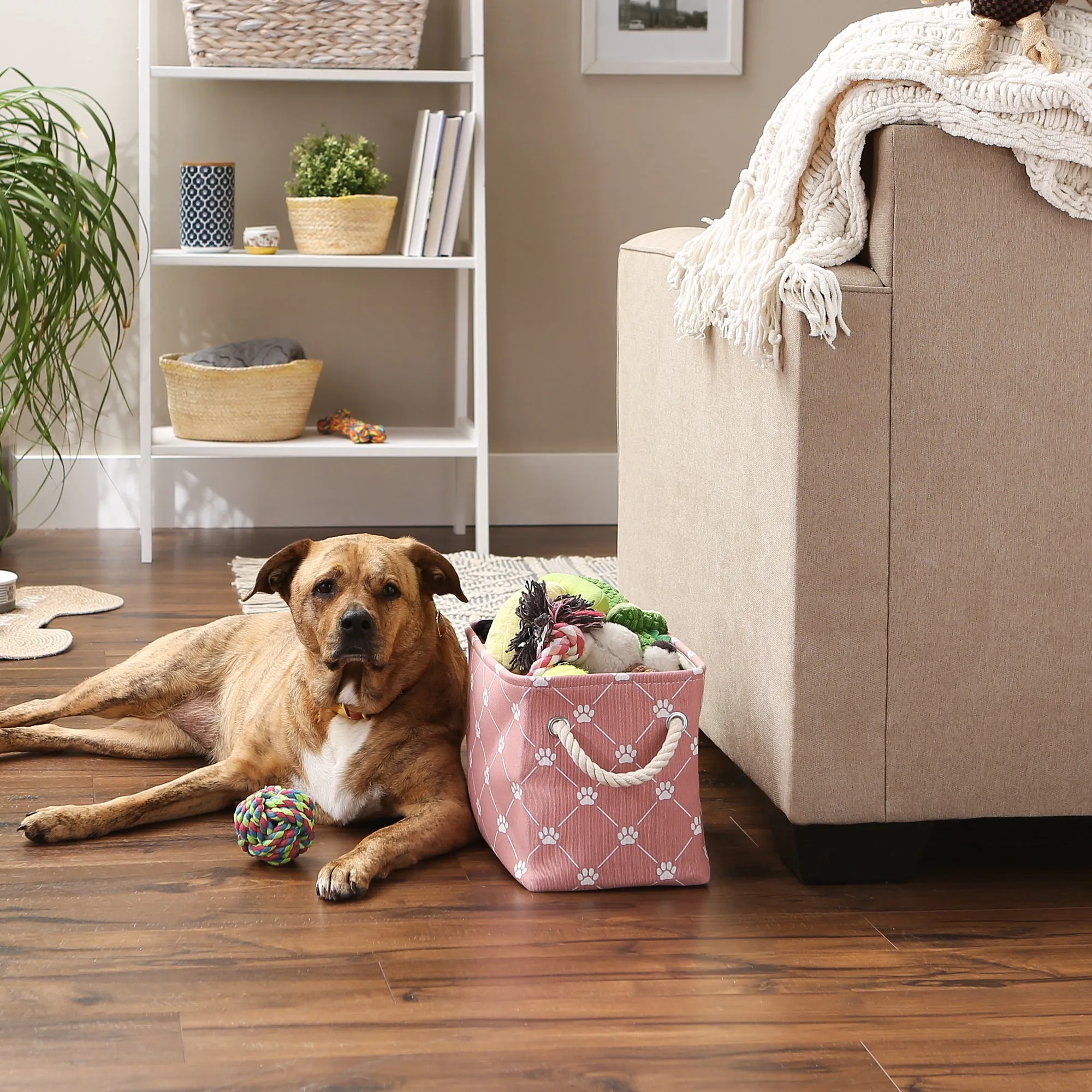Polyester Pet Bin Trellis Paw Rose Rectangle Small 14X8X9