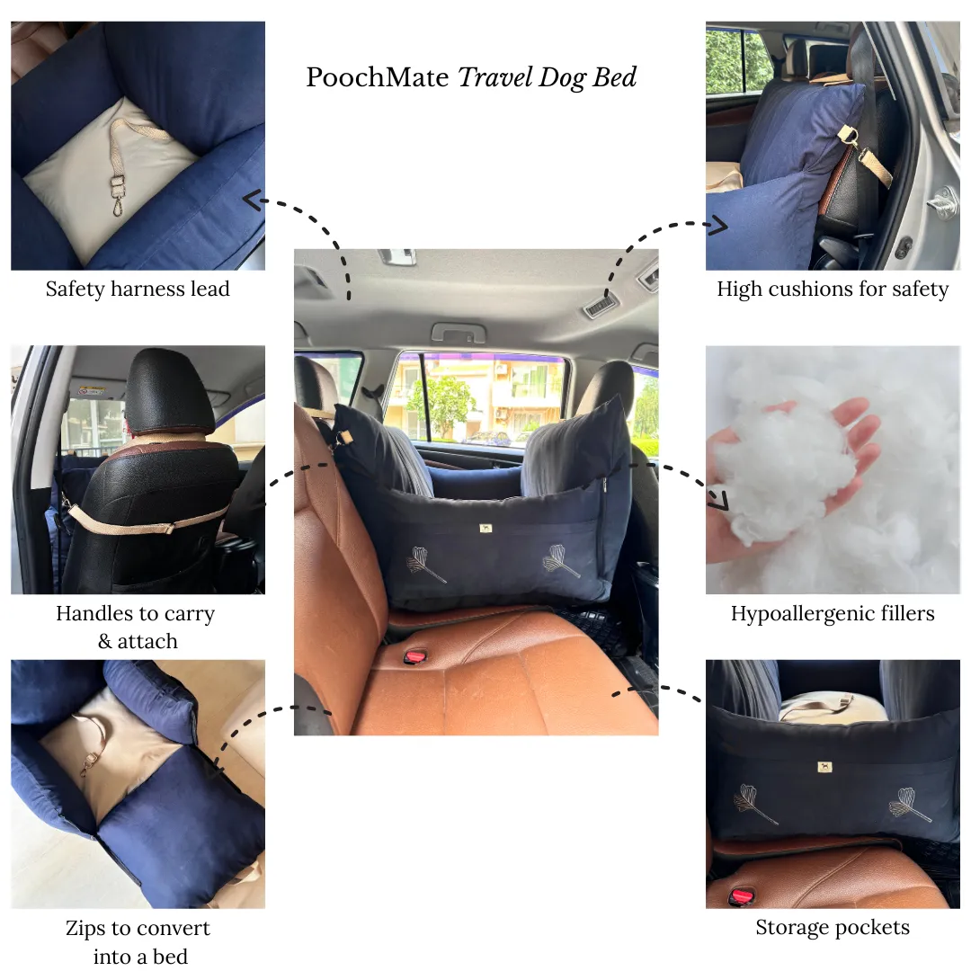 PoochMate Travel Bed for Small Dogs : 22X22 Navy & Beige