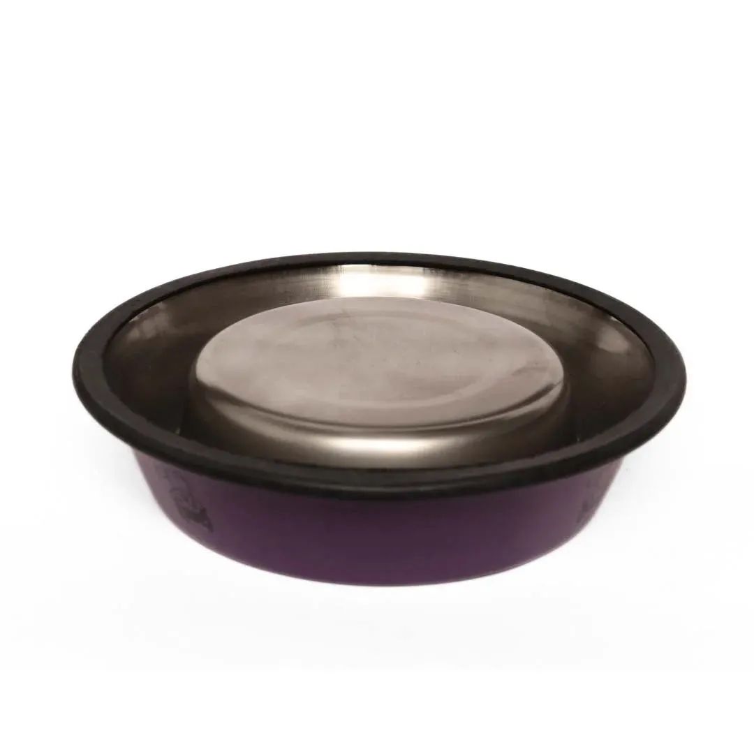 Printed Stainless Steel Bowl with Anti-Skid Rubber Base for Pets