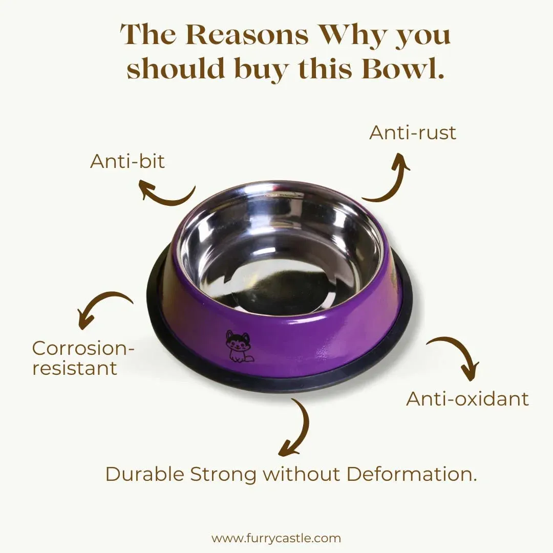 Printed Stainless Steel Bowl with Anti-Skid Rubber Base for Pets
