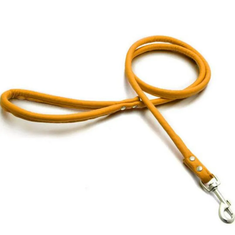 Puppy Dogs Leash