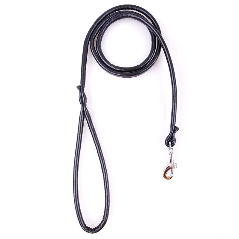 Puppy Dogs Leash