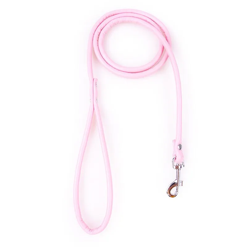Puppy Dogs Leash