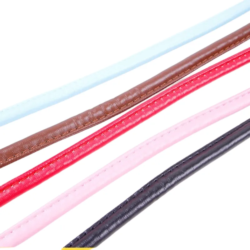Puppy Dogs Leash