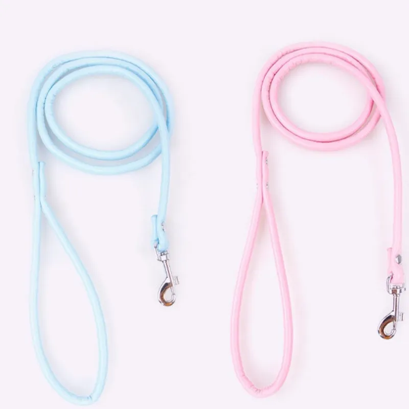 Puppy Dogs Leash