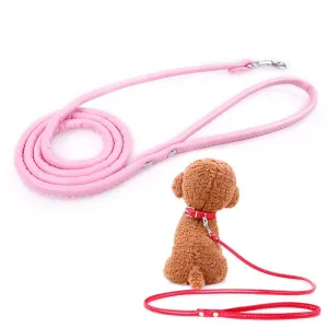 Puppy Dogs Leash