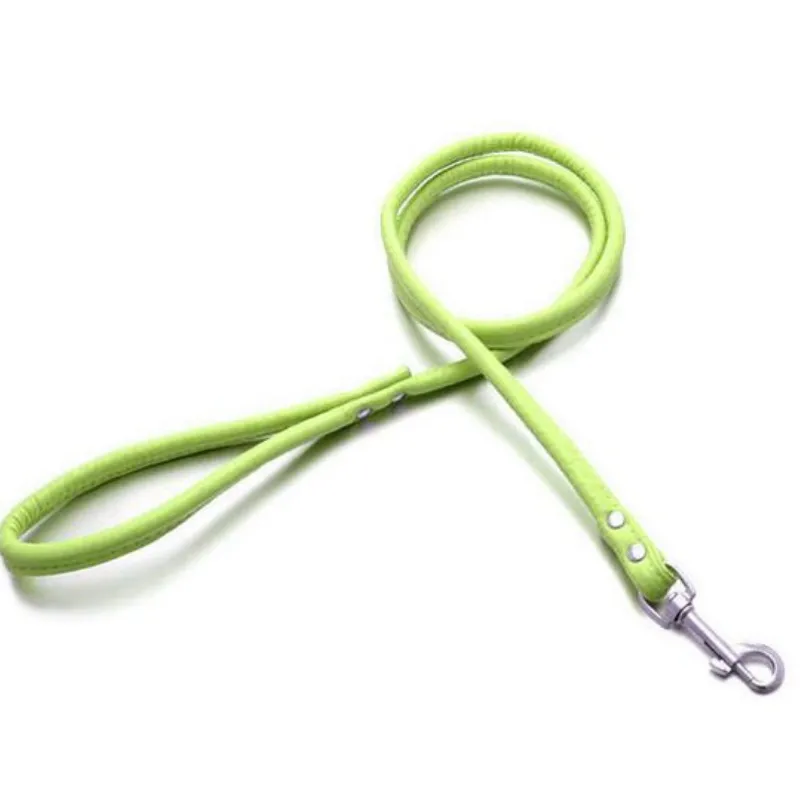 Puppy Dogs Leash
