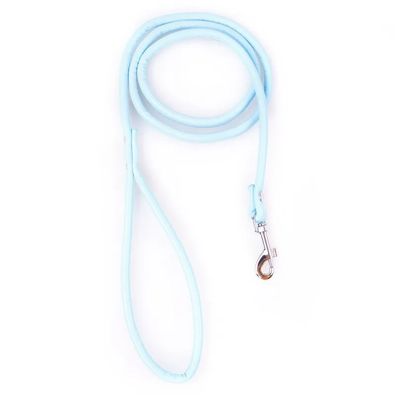 Puppy Dogs Leash