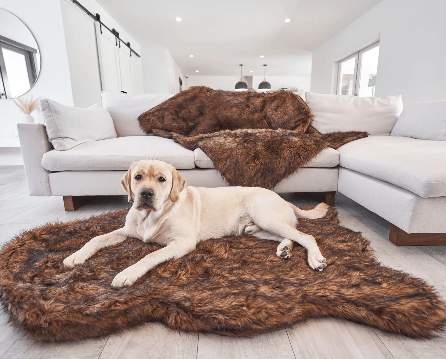 PupRug™ Orthopedic Bed   Matching Waterproof Blanket Bundle - Brown