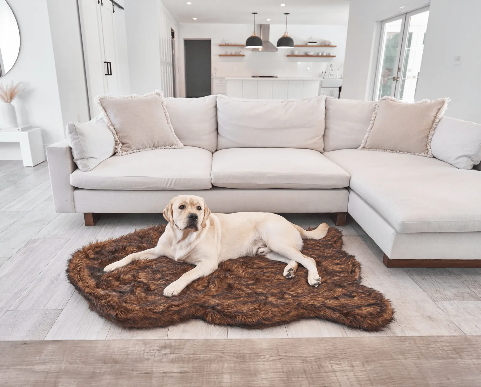 PupRug™ Orthopedic Bed   Matching Waterproof Blanket Bundle - Brown