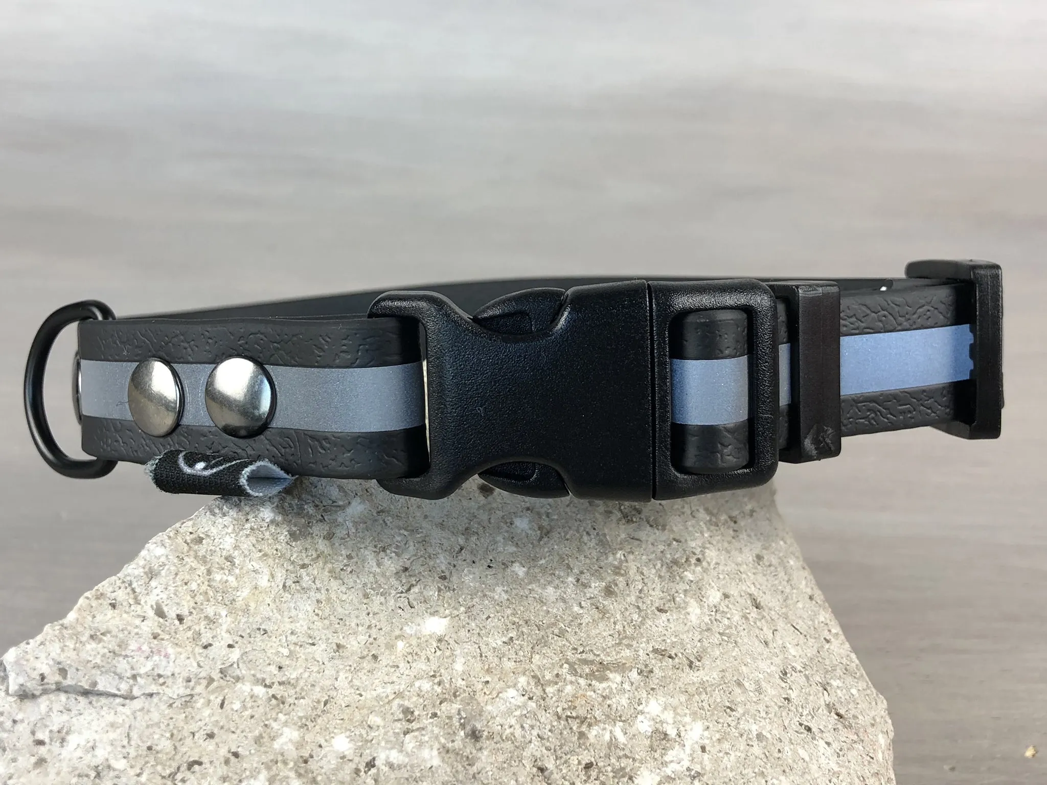 Reflective Dog Collars in Waterproof Coated Webbing