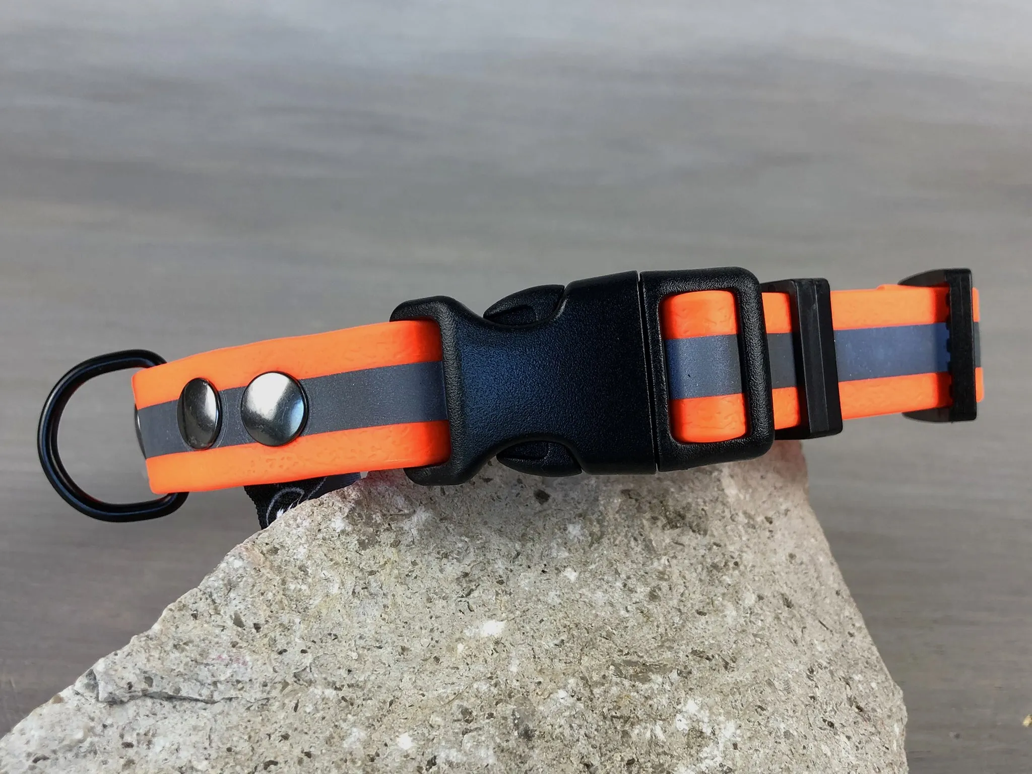 Reflective Dog Collars in Waterproof Coated Webbing