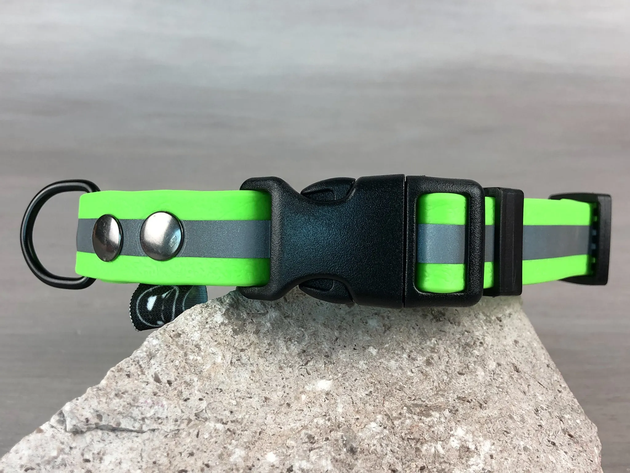 Reflective Dog Collars in Waterproof Coated Webbing