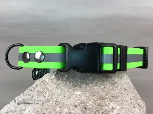 Reflective Dog Collars in Waterproof Coated Webbing