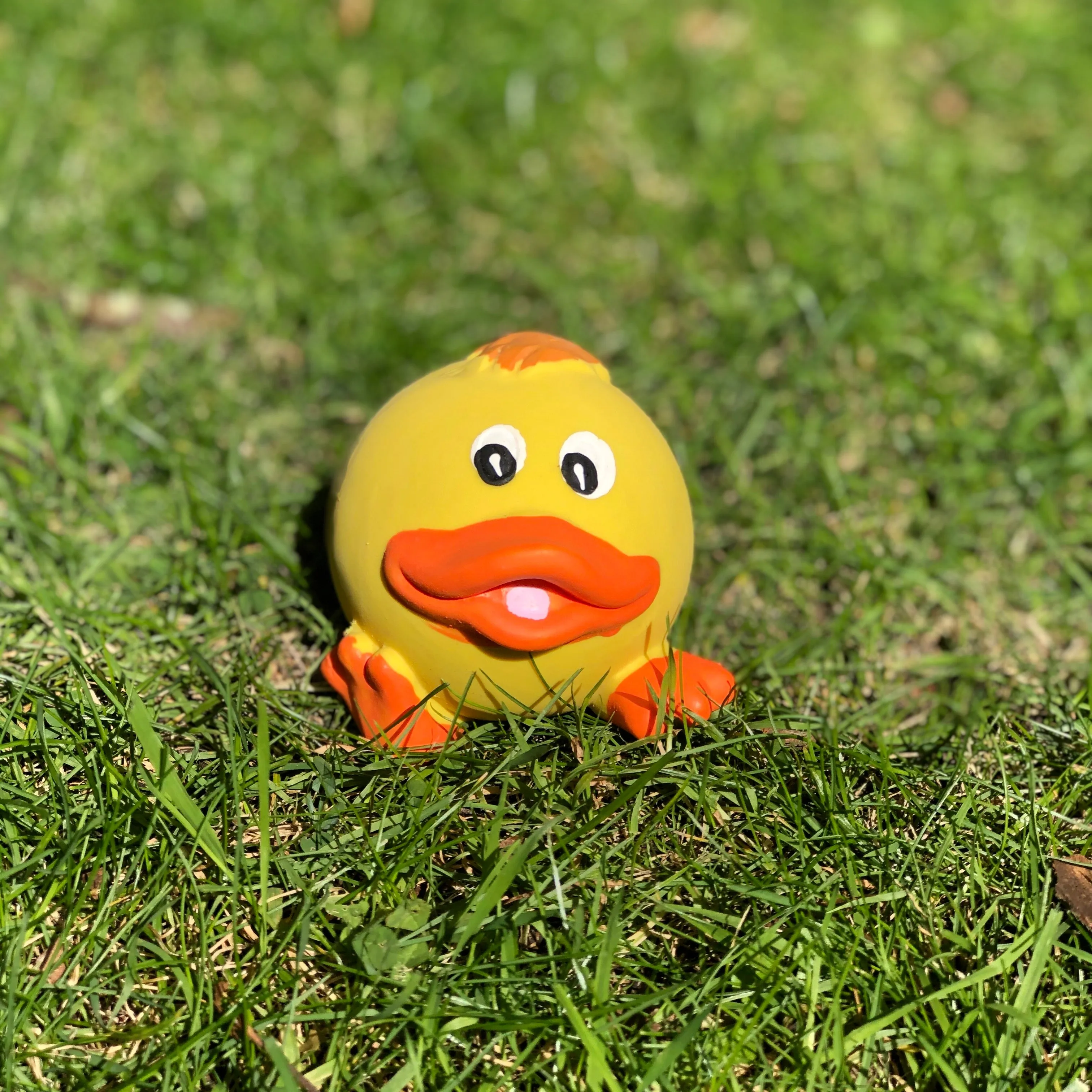 Squeaky Latex Animal Toy Dog Balls