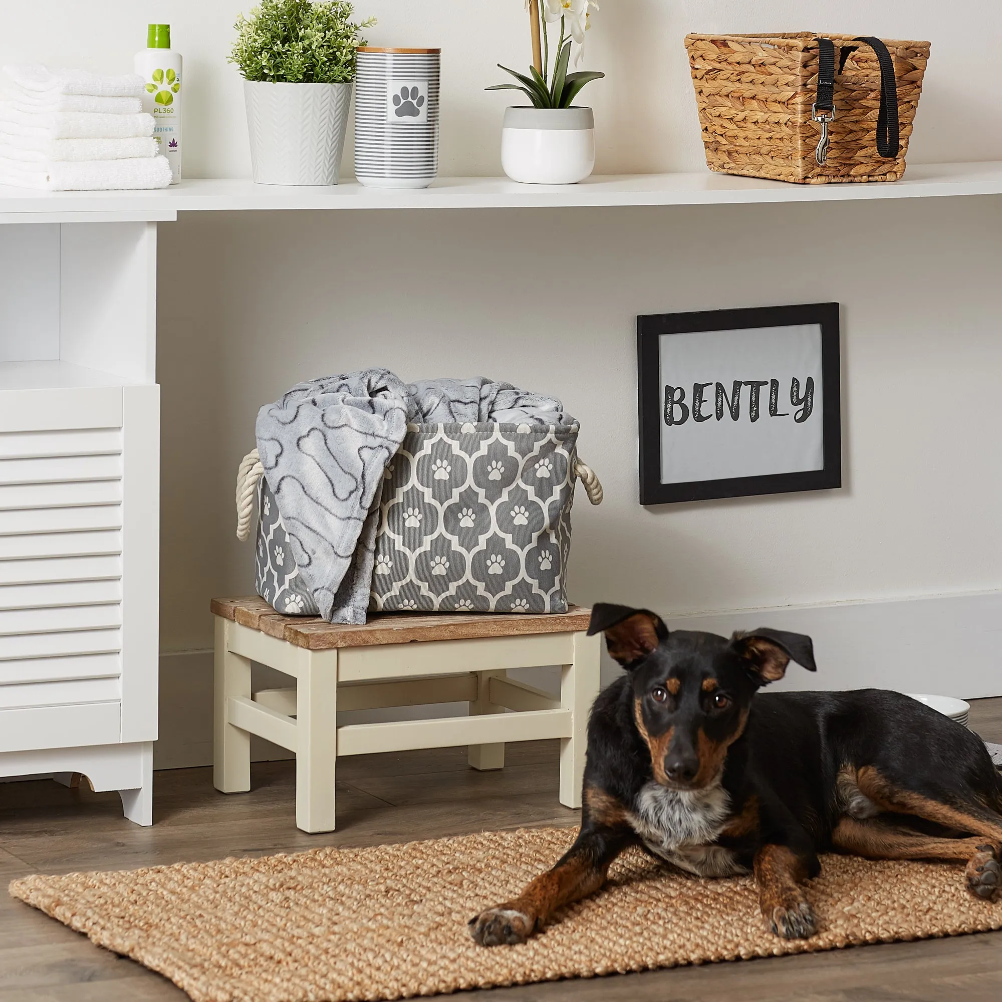 Storage Bin, Lattice Paw Print, Gray, Small - 14x8x9"