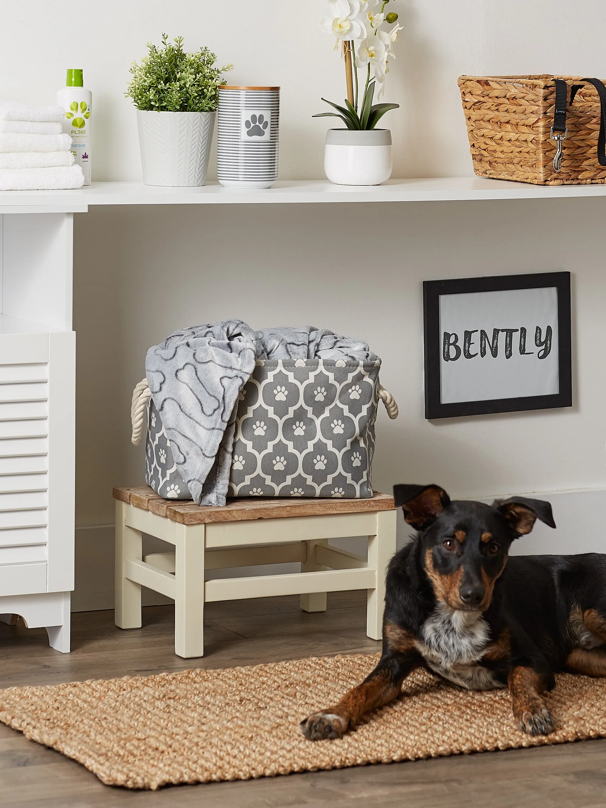 Storage Bin, Lattice Paw Print, Gray, Small - 14x8x9"