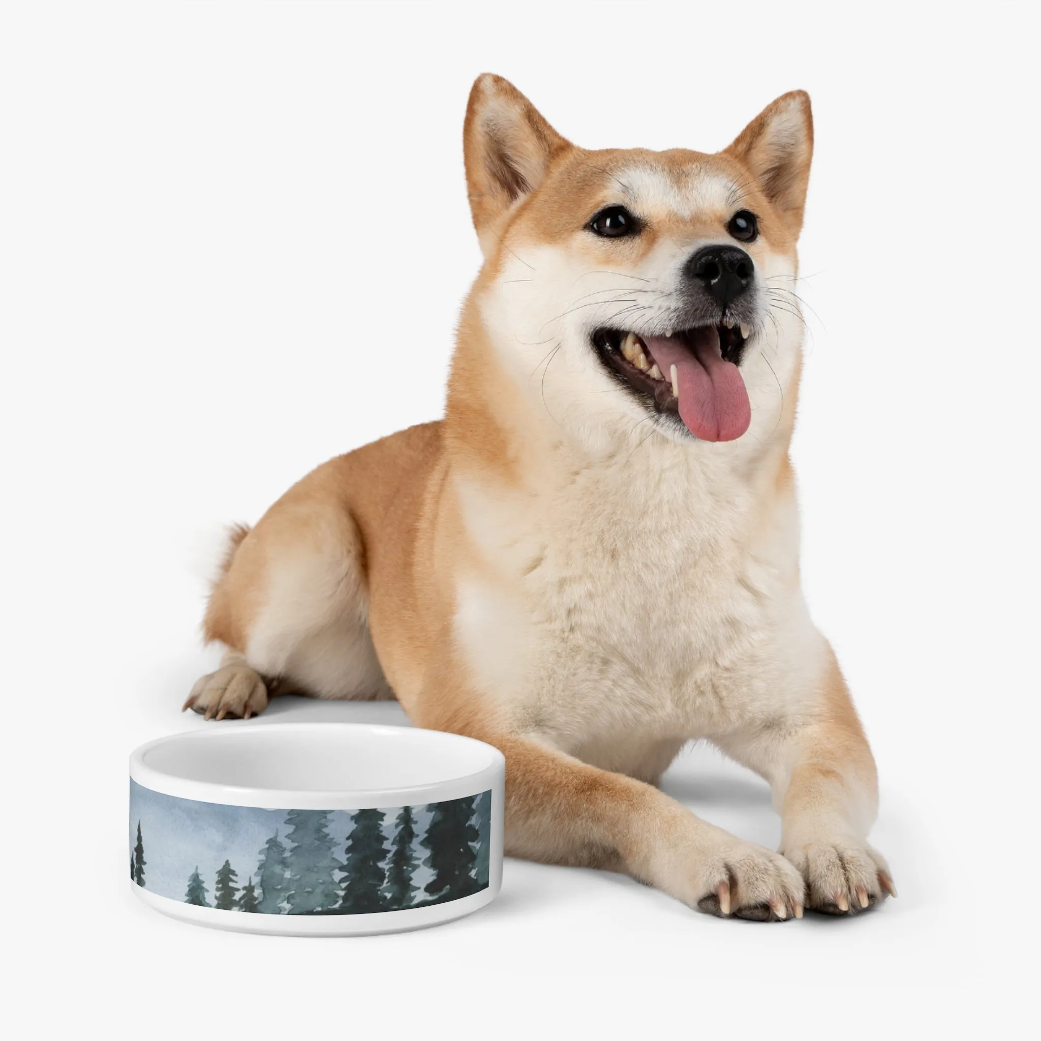 Stormy Weather Pet Bowl