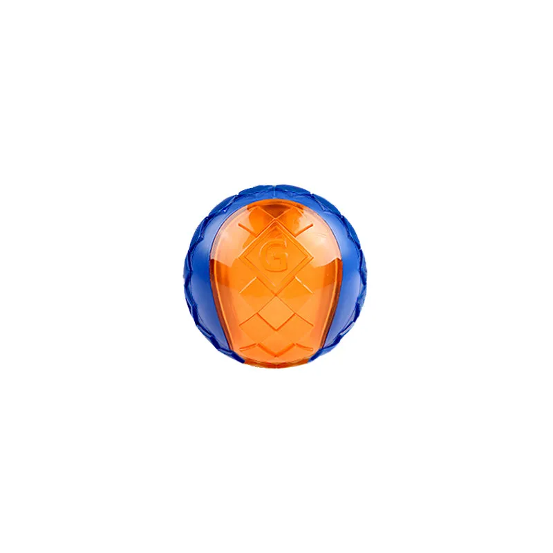 Transparent Squeaky Dog Ball Toy