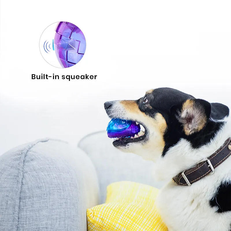 Transparent Squeaky Dog Ball Toy