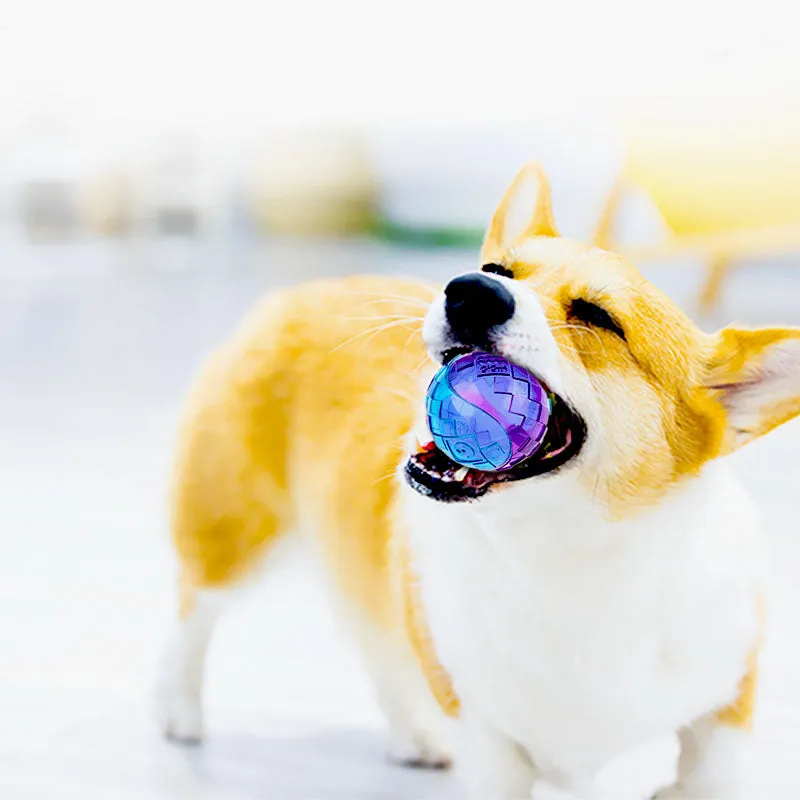 Transparent Squeaky Dog Ball Toy
