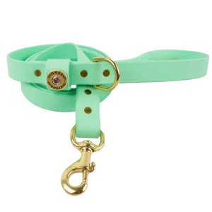 Water Dog Leash Mint