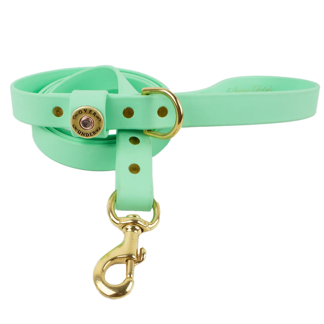 Water Dog Leash Mint